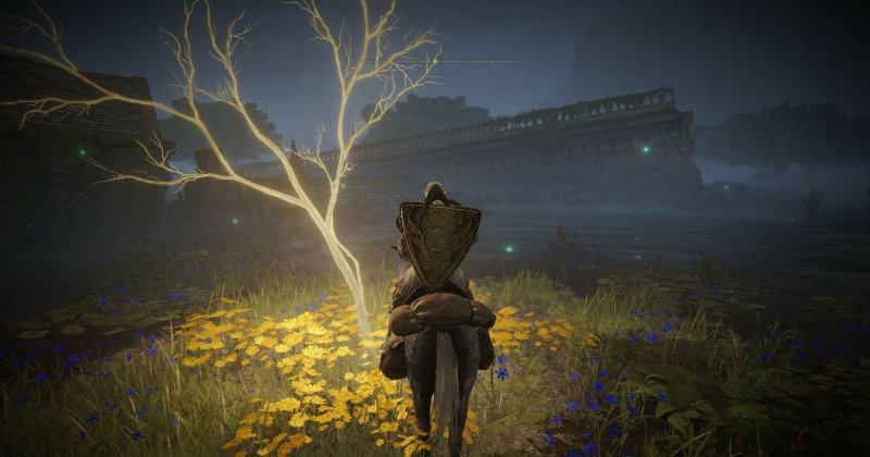 Где найти золотое семя в Elden Ring 14
