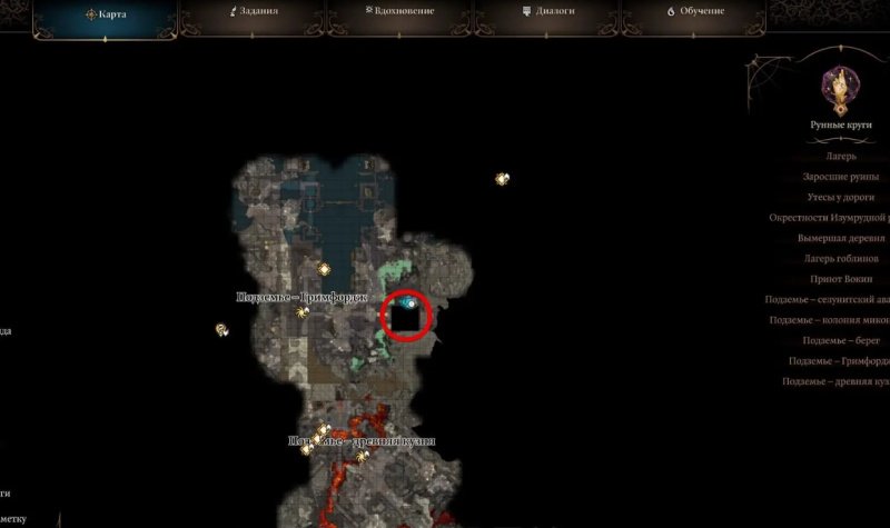 Baldur`s Gate 3 Верный Нере
