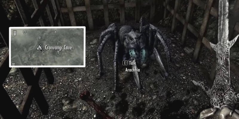 Питомцы Скайрима паук