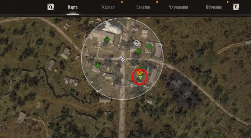 STALKER 2 маковое поле