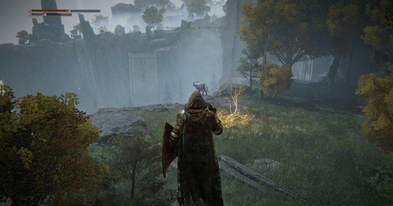 Где найти золотое семя в Elden Ring 20