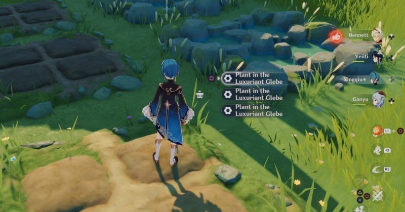 Genshin Impact ветряная астра 10