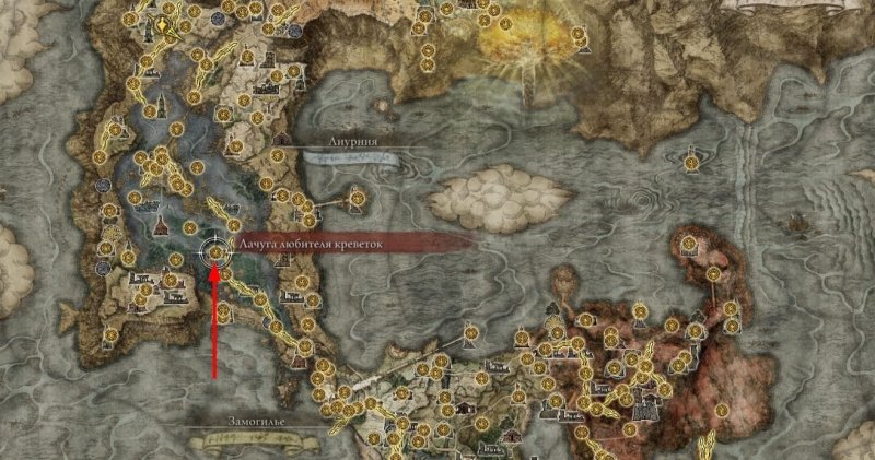 Где найти торговца в Elden Ring 24