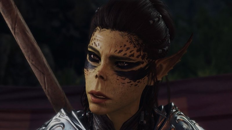 Baldur`s Gate 3 все спутники