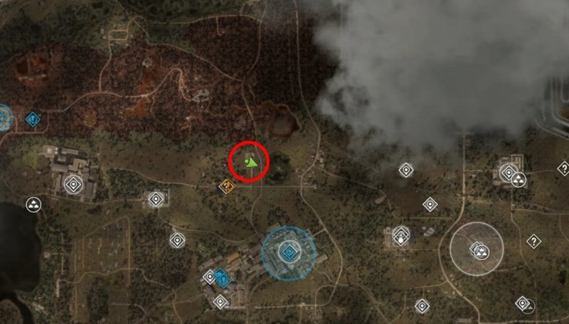 STALKER 2 росток сейф