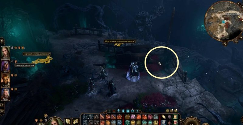 Baldur`s Gate 3 Оливер