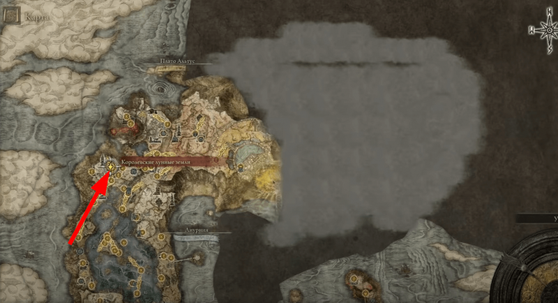 Где найти Слезы личинок в Elden Ring 10