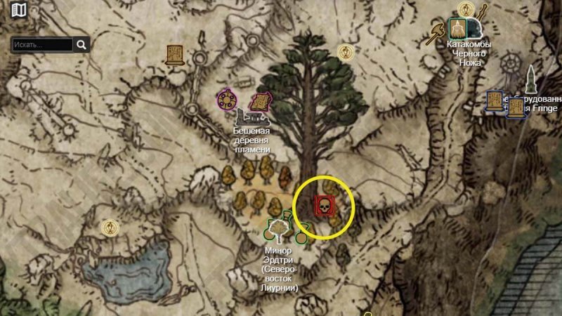 Прохождение Elden Ring 28