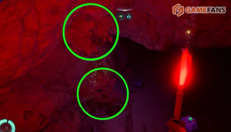 Волокнистая мякоть в Subnautica 2