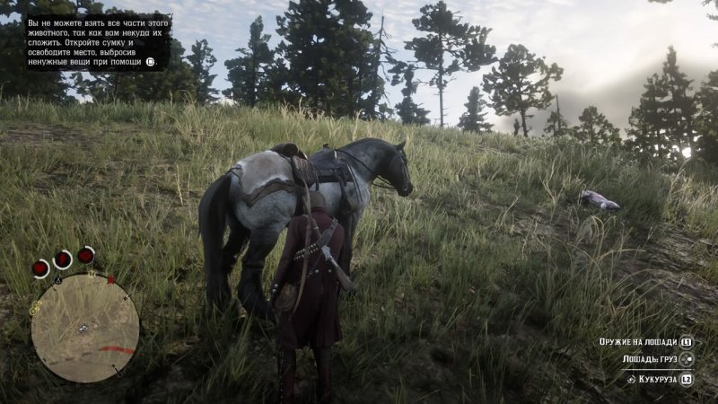 Как призвать лошадь в Red Dead Redemption 2