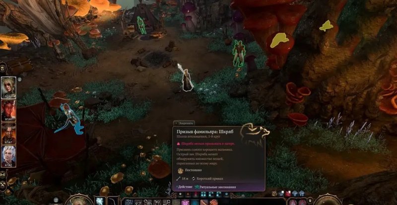 Baldur`s Gate 3 фамильяры