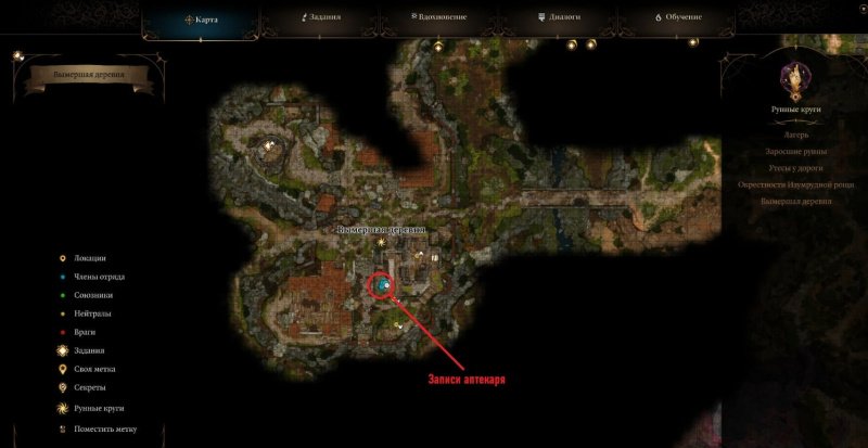 Baldur`s Gate 3 Обыскать подвал аптекаря