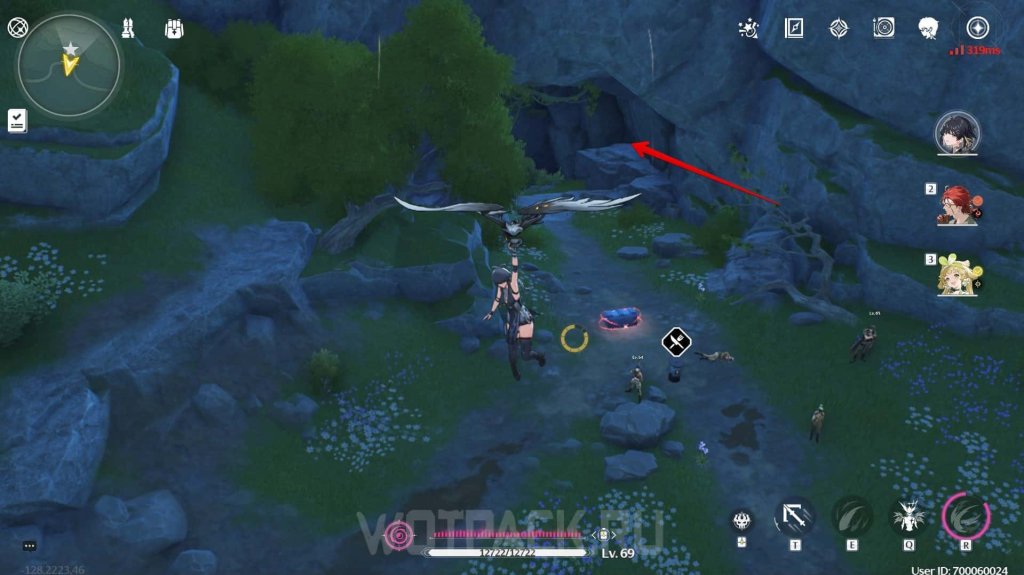 Wuthering Waves Tacet Field