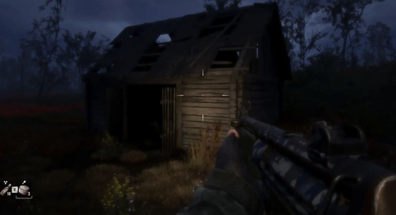 STALKER 2 маковое поле