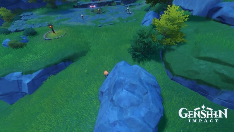 Genshin Impact где найти кор ляпис 114