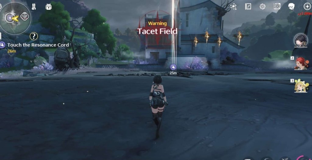 Wuthering Waves Tacet Field