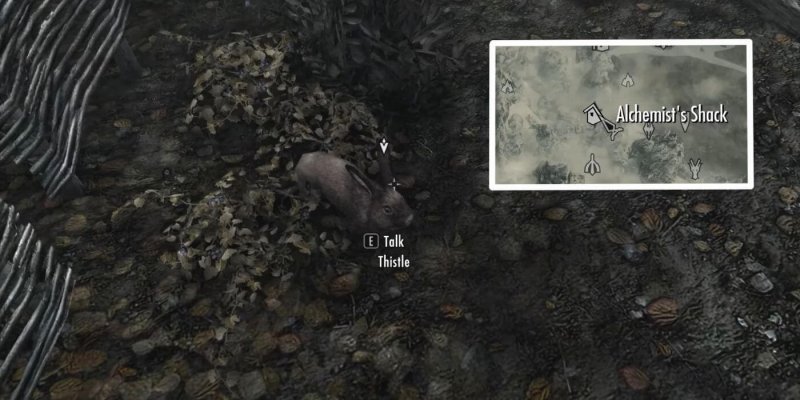 Питомцы Скайрима кролик