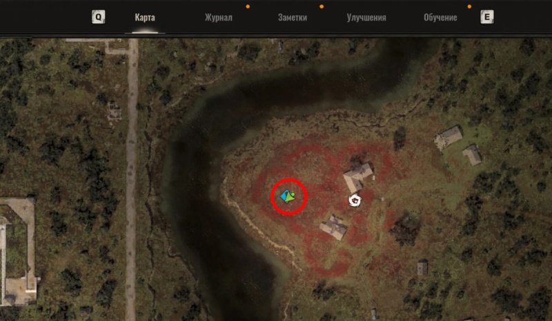 STALKER 2 маковое поле