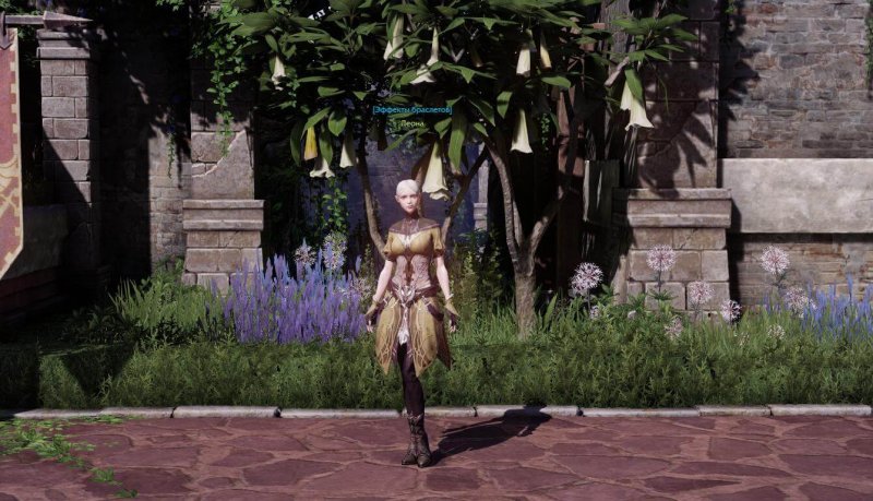 Lost Ark леона