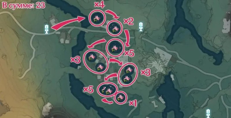 Wuthering Waves цветок пекока