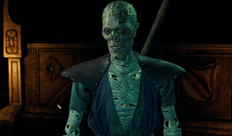 Baldur`s Gate 3 все спутники