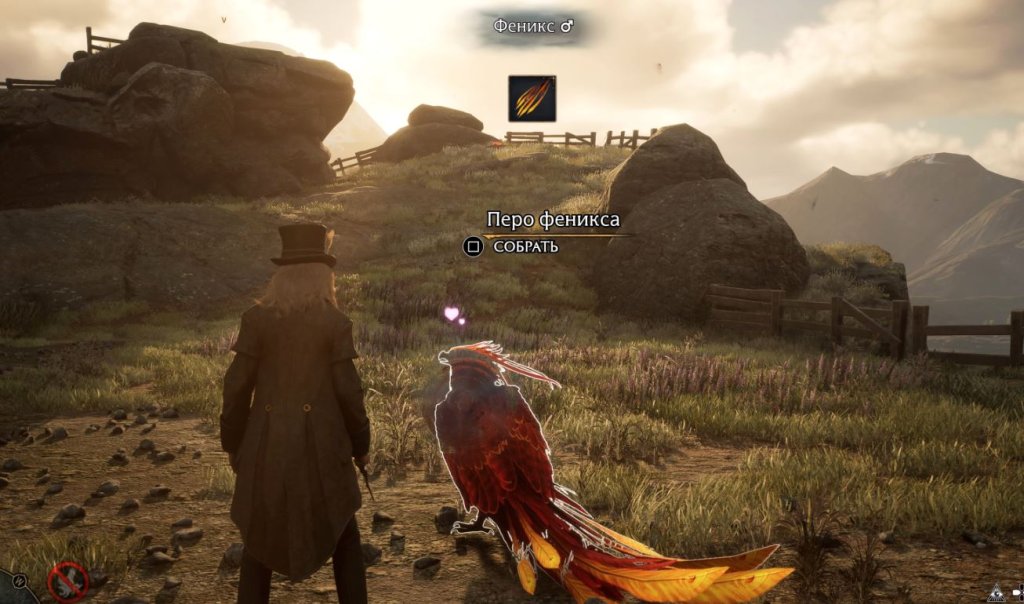 Hogwarts Legacy феникс