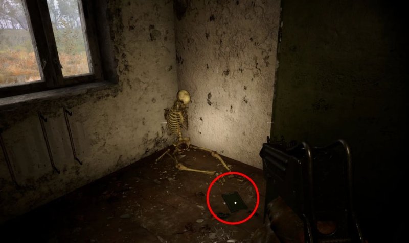 STALKER 2 росток сейф