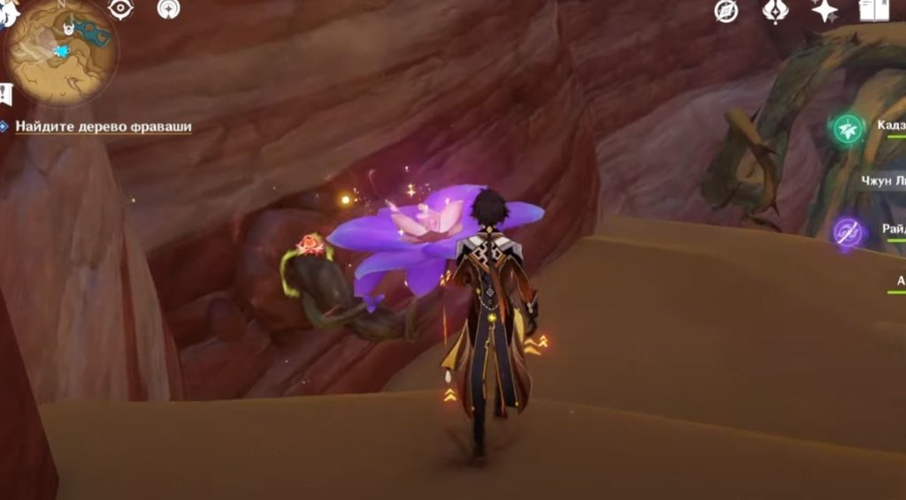 Genshin Impact Бутоны Удумбары