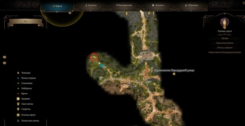 Baldur`s Gate 3 детеныш медвесыча