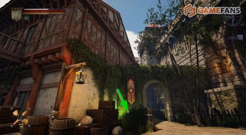 Орденское облачение Чада Of Ash and Steel