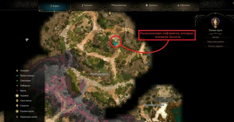 Baldur`s Gate 3 найти ясли гитьянки
