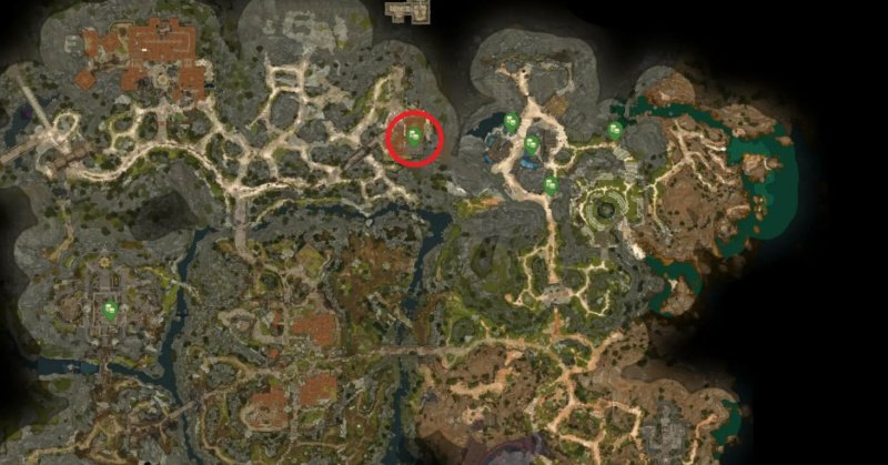 Baldur`s Gate 3 все торговцы
