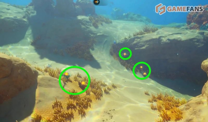 Волокнистая мякоть в Subnautica 2
