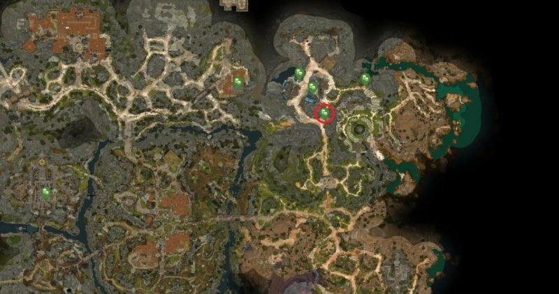 Baldur`s Gate 3 все торговцы