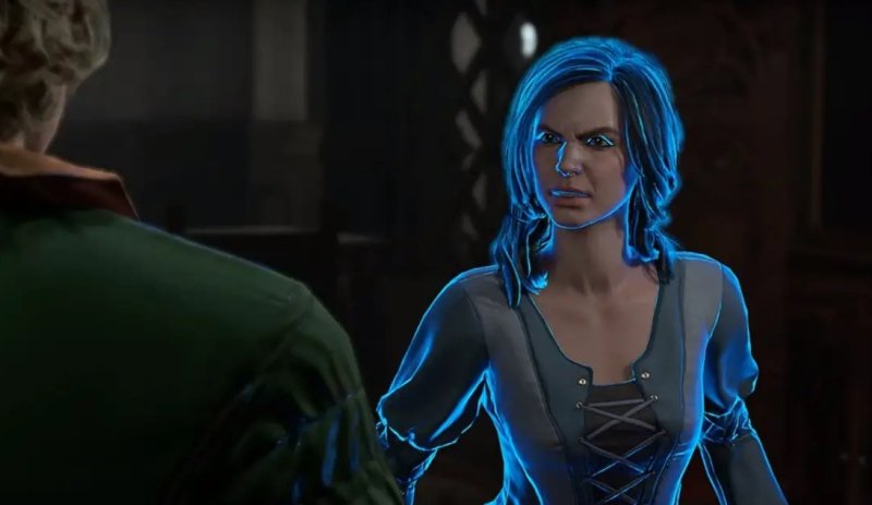 Baldur`s Gate 3 освободить художника