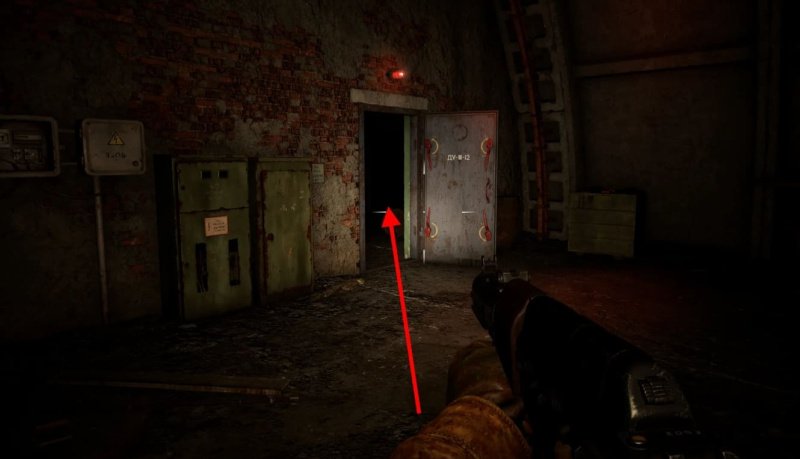 STALKER 2 росток сейф