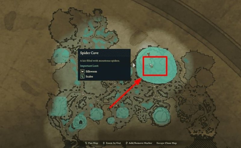 Унгора Королева пауков