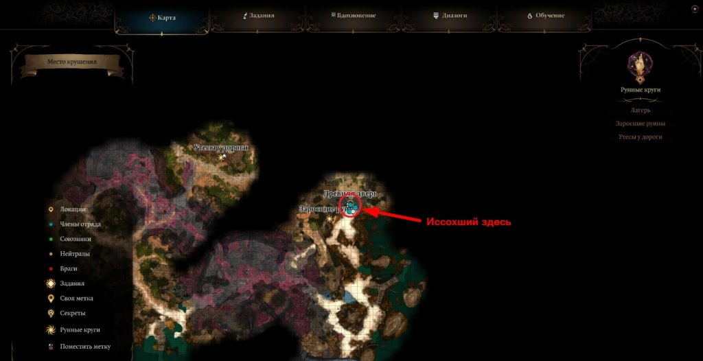 Baldur`s Gate 3 как воскресить союзника