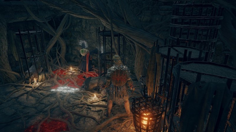 Как пройти квест Ренни в Elden Ring 6