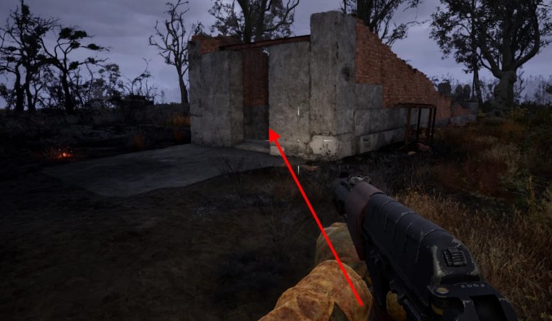 STALKER 2 росток сейф