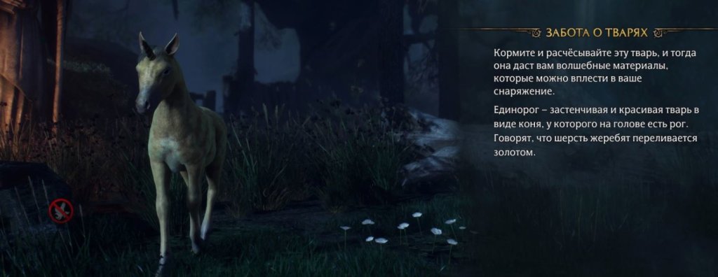 Hogwarts Legacy единорог