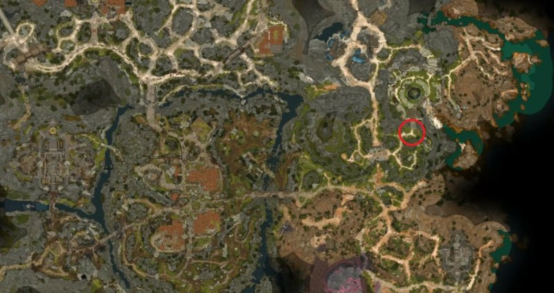 Baldur`s Gate 3 Белка