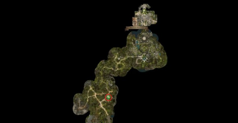 Baldur`s Gate 3 все торговцы