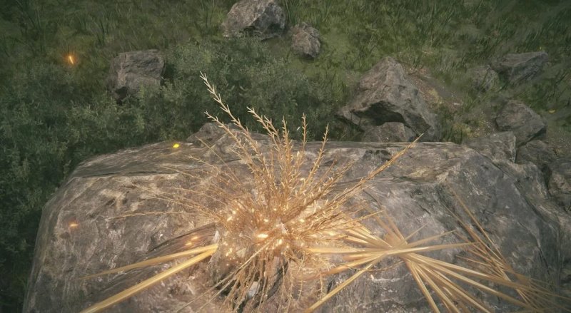 Лучшие заклинания в Elden Ring: Shadow Of The Erdtree