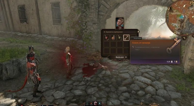 Baldur`s Gate 3 советница Флоррик