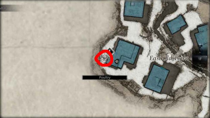 Resident Evil Village курицы 6