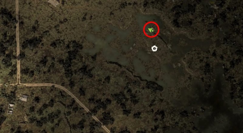 STALKER 2 все легендарные артефакты