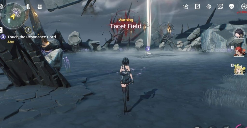 Wuthering Waves Tacet Field