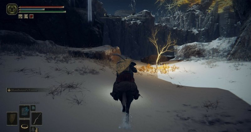 Где найти золотое семя в Elden Ring 52