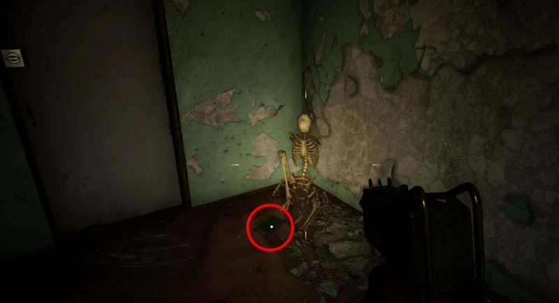 STALKER 2 росток сейф